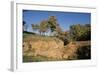 Cima Grave, Marturanum Regional Park, San Giuliano, Barbarano Romano, Lazio, Italy, 7th Century-null-Framed Giclee Print