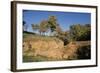 Cima Grave, Marturanum Regional Park, San Giuliano, Barbarano Romano, Lazio, Italy, 7th Century-null-Framed Giclee Print