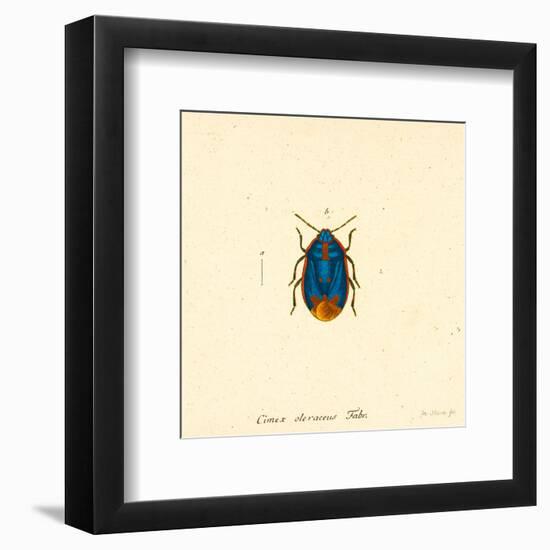 Cimex Oleraceus-A^ Poiteau-Framed Art Print