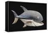 Cimier-poisson-null-Framed Stretched Canvas