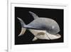 Cimier-poisson-null-Framed Giclee Print