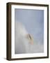 Cimon Della Pala. Peaks towering over Val Venegia seen from Passo Costazza.-Martin Zwick-Framed Photographic Print