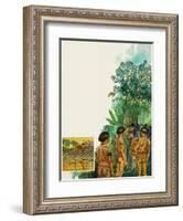 Cinchona Tree-null-Framed Giclee Print