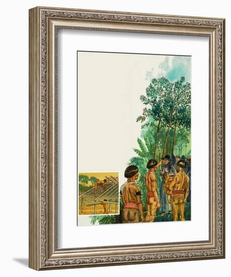 Cinchona Tree-null-Framed Giclee Print