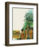 Cinchona Tree-null-Framed Giclee Print