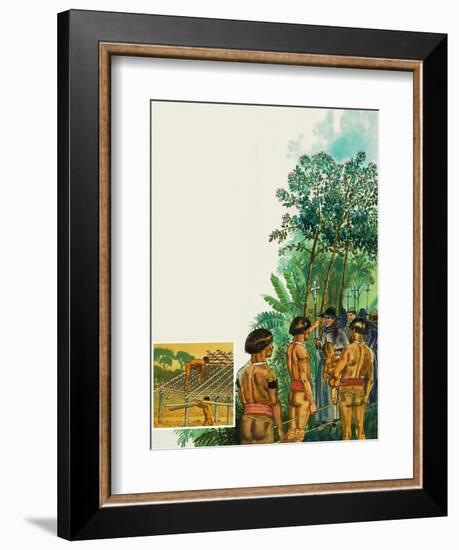 Cinchona Tree-null-Framed Giclee Print