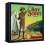 Cincinnati, Ohio, Boy Scout Brand Citrus Label-Lantern Press-Framed Stretched Canvas