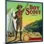 Cincinnati, Ohio, Boy Scout Brand Citrus Label-Lantern Press-Mounted Art Print
