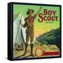 Cincinnati, Ohio, Boy Scout Brand Citrus Label-Lantern Press-Framed Stretched Canvas