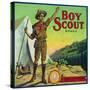 Cincinnati, Ohio, Boy Scout Brand Citrus Label-Lantern Press-Stretched Canvas