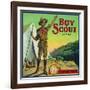 Cincinnati, Ohio, Boy Scout Brand Citrus Label-Lantern Press-Framed Art Print