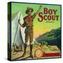 Cincinnati, Ohio, Boy Scout Brand Citrus Label-Lantern Press-Stretched Canvas