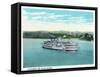 Cincinnati, Ohio - Ohio River Steamer Near City-Lantern Press-Framed Stretched Canvas