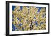 Cincinnati, Ohio, USA-Anna Miller-Framed Photographic Print