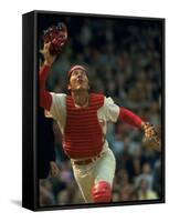 Cincinnati Reds Catcher Johnny Bench Catching Pop Fly During Game Against San Francisco Giants-John Dominis-Framed Stretched Canvas