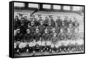 Cincinnati Reds Team, Baseball Photo No.2 - Cincinnati, OH-Lantern Press-Framed Stretched Canvas