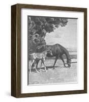 Cinderella with Warrior-Sir Alfred Munnings-Framed Premium Giclee Print