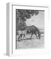 Cinderella with Warrior-Sir Alfred Munnings-Framed Premium Giclee Print