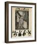 Cinderella-Arthur Rackham-Framed Art Print