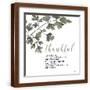 Brown Frame