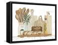 Framed Canvas
