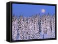 Canvas Black
