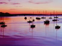Sailboats Anchored in a Harbor-Cindy Kassab-Photographic Print