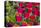 Stretched Canvas