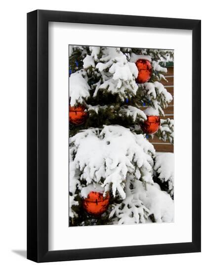 Photographic Print, , large