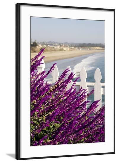 Framed Photographic Print, , large