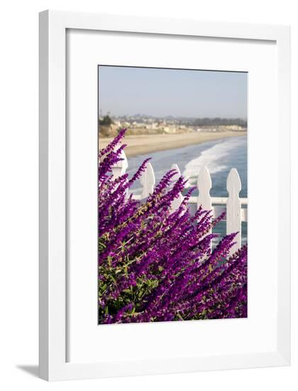 Framed Photographic Print, , large