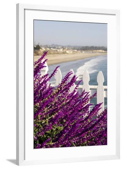 Framed Photographic Print, , large