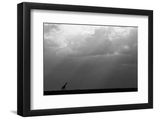 Photographic Print, , large