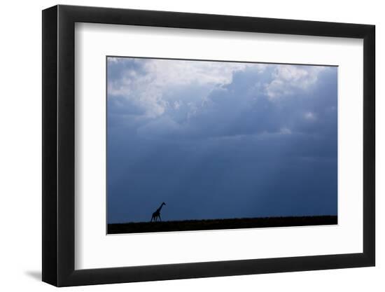 Photographic Print, , large