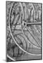 Wood Mount