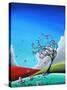 Stretched Canvas