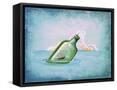 Framed Canvas