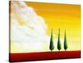 Stretched Canvas