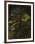 Cineraria, 1886-Vincent van Gogh-Framed Premium Giclee Print