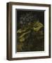 Cineraria, 1886-Vincent van Gogh-Framed Giclee Print