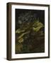 Cineraria, 1886-Vincent van Gogh-Framed Giclee Print