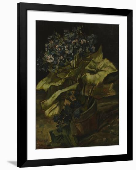 Cineraria, 1886-Vincent van Gogh-Framed Giclee Print