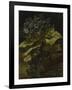 Cineraria, 1886-Vincent van Gogh-Framed Giclee Print