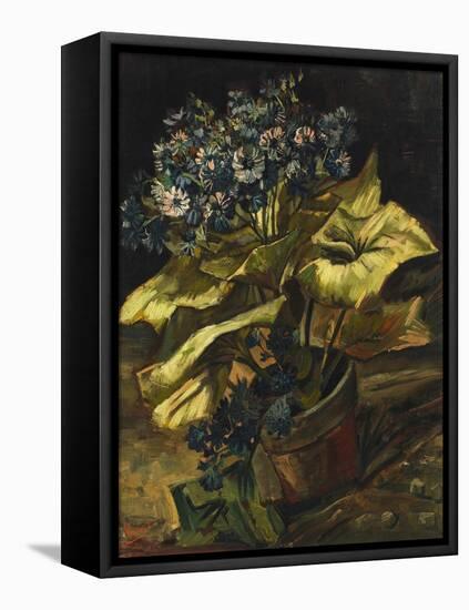 Cineraria Asters in a Pot-Vincent van Gogh-Framed Stretched Canvas