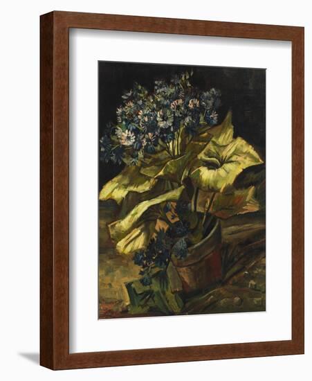 Cineraria Asters in a Pot-Vincent van Gogh-Framed Giclee Print