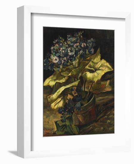 Cineraria Asters in a Pot-Vincent van Gogh-Framed Giclee Print