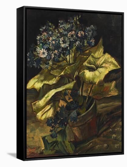 Cineraria Asters in a Pot-Vincent van Gogh-Framed Stretched Canvas
