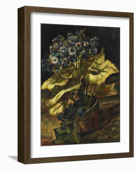 Cineraria Asters in a Pot-Vincent van Gogh-Framed Giclee Print