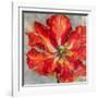 Cinnabar I-Carson-Framed Giclee Print