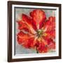 Cinnabar I-Carson-Framed Giclee Print